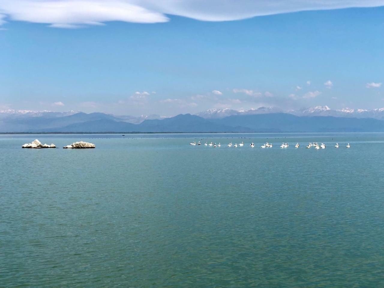 Skadar Lake Apartments Pajovic Virpazar Exterior foto